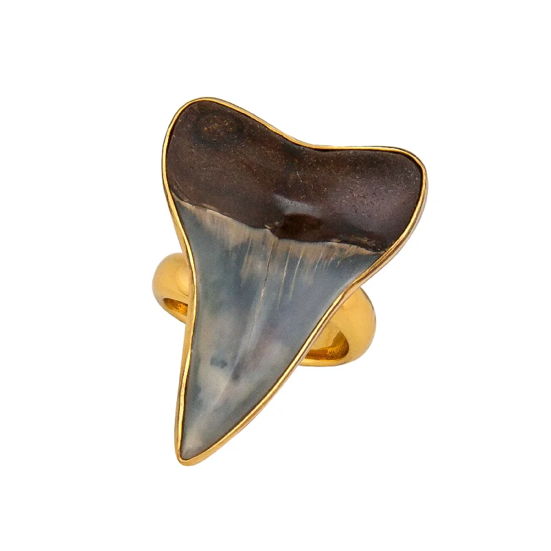 Alchemia Fossil Shark Tooth Adjustable Ring