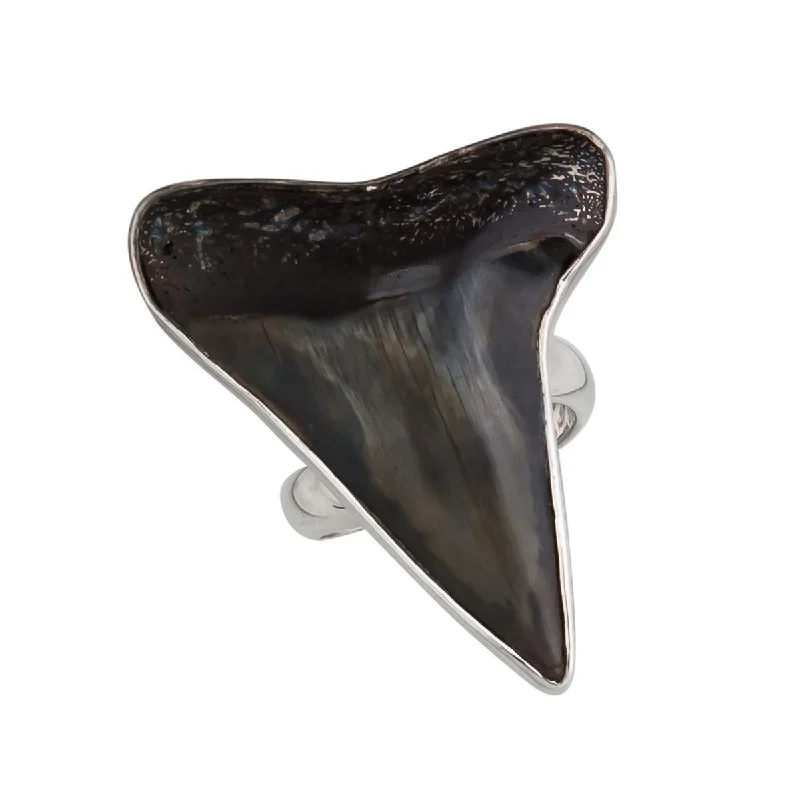 Sterling Silver Fossil Shark Tooth Adjustable Ring